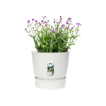 greenville round 20cm white